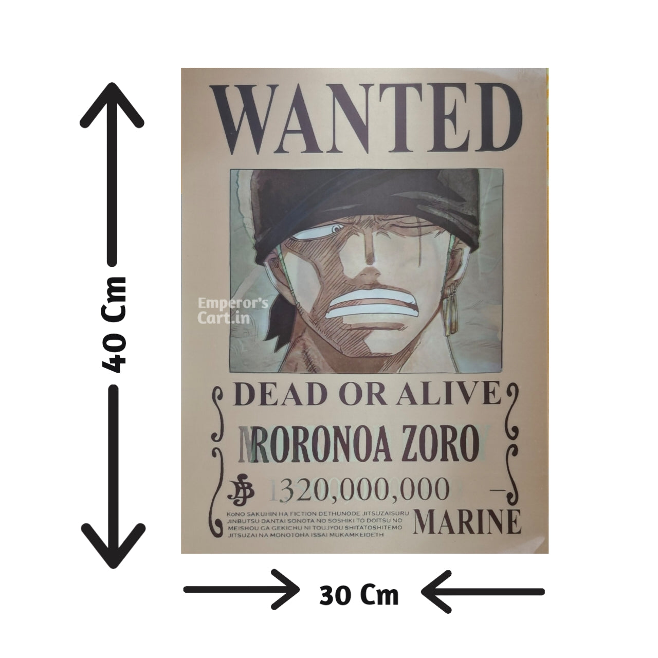 One Piece 3D Poster | Zoro - Luffy Wanted Poster